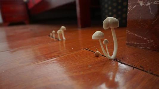 潮濕的地下室對人體有哪些危害？